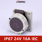 Niederspannungs-Platte angebrachter Sockel Iec-Standard 48V 32A IP67 3P