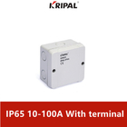 10-100Amp IP65 Oberflächenberg-Anschlusskästen im Freien mit Anschluss