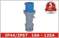 Industrieller Sockel der Sicherheit Iec-Behälter-industrieller Stecker-/32 Ampere